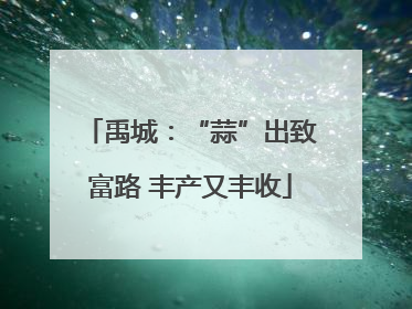 禹城：“蒜”出致富路 丰产又丰收