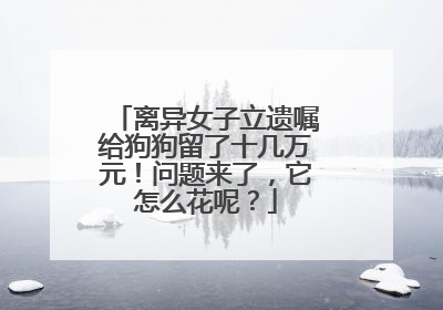 离异女子立遗嘱给狗狗留了十几万元！问题来了，它怎么花呢？