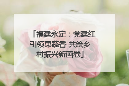 福建永定：党建红引领果蔬香 共绘乡村振兴新画卷