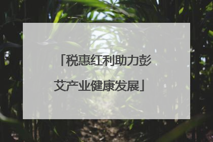 税惠红利助力彭艾产业健康发展