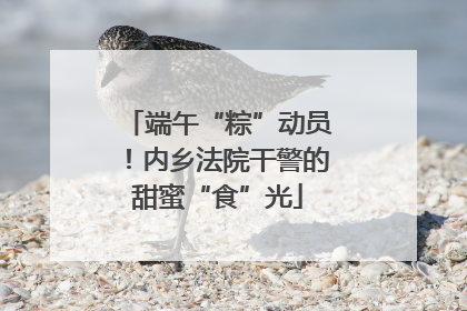 端午“粽”动员！内乡法院干警的甜蜜“食”光