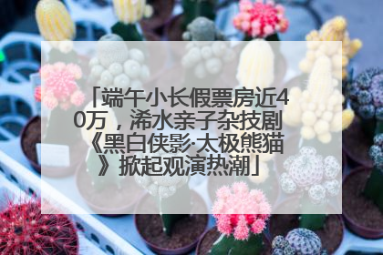 端午小长假票房近40万，浠水亲子杂技剧《黑白侠影·太极熊猫》掀起观演热潮