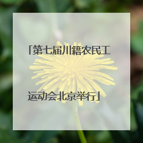 第七届川籍农民工运动会北京举行