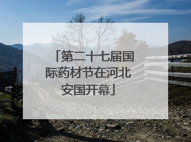 第二十七届国际药材节在河北安国开幕