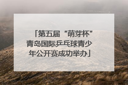 第五届“萌芽杯”青岛国际乒乓球青少年公开赛成功举办