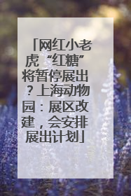网红小老虎“红糖”将暂停展出？上海动物园：展区改建，会安排展出计划