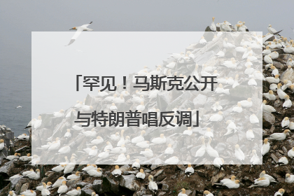 罕见！马斯克公开与特朗普唱反调