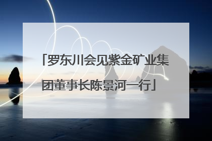 罗东川会见紫金矿业集团董事长陈景河一行