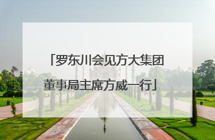 罗东川会见方大集团董事局主席方威一行