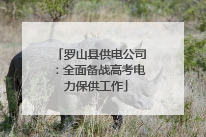 罗山县供电公司：全面备战高考电力保供工作