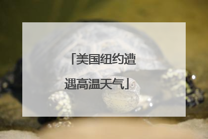 美国纽约遭遇高温天气