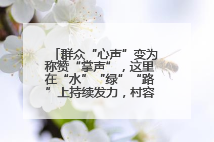 群众“心声”变为称赞“掌声”，这里在“水”“绿”“路”上持续发力，村容村貌焕然一新