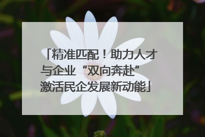 精准匹配！助力人才与企业“双向奔赴” 激活民企发展新动能