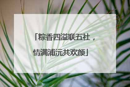 粽香四溢联五社，情满浦沅共欢颜