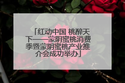 红动中国 桃醉天下——蒙阴蜜桃消费季暨蒙阴蜜桃产业推介会成功举办