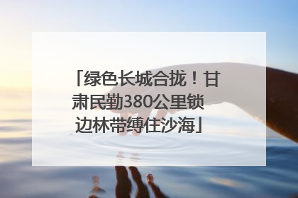 绿色长城合拢！甘肃民勤380公里锁边林带缚住沙海