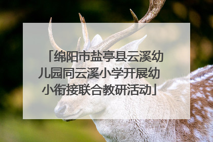 绵阳市盐亭县云溪幼儿园同云溪小学开展幼小衔接联合教研活动
