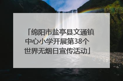 绵阳市盐亭县文通镇中心小学开展第38个世界无烟日宣传活动