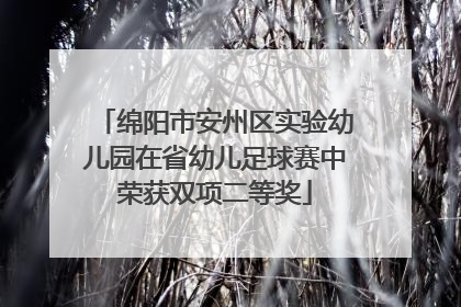 绵阳市安州区实验幼儿园在省幼儿足球赛中荣获双项二等奖
