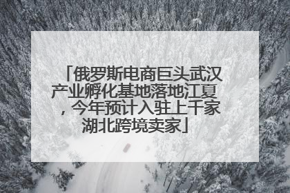 俄罗斯电商巨头武汉产业孵化基地落地江夏，今年预计入驻上千家湖北跨境卖家