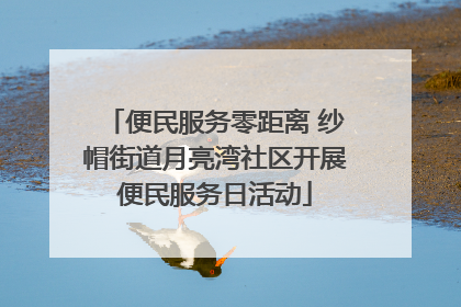 便民服务零距离 纱帽街道月亮湾社区开展便民服务日活动