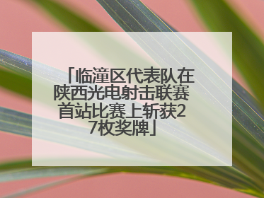 临潼区代表队在陕西光电射击联赛首站比赛上斩获27枚奖牌