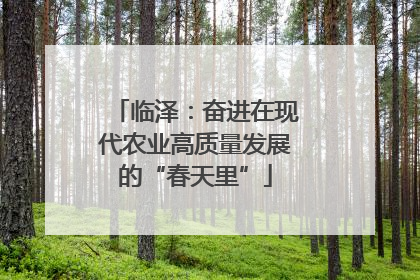 临泽：奋进在现代农业高质量发展的“春天里”
