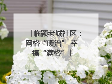 临颍老城社区：网格“暖治” 幸福“满格”