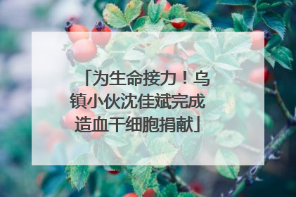 为生命接力！乌镇小伙沈佳斌完成造血干细胞捐献