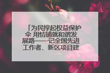为民撑起权益保护伞 用情铺就和谐发展路——记全国先进工作者、新区项目建设中心干部卢小勇