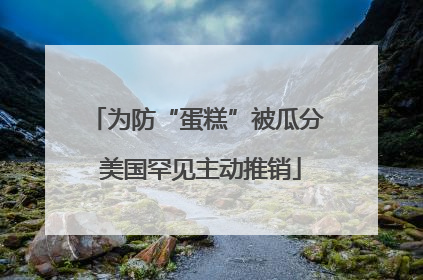 为防“蛋糕”被瓜分 美国罕见主动推销