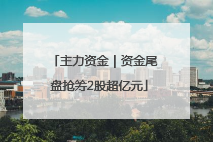主力资金｜资金尾盘抢筹2股超亿元