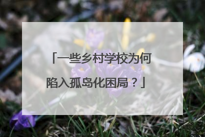 一些乡村学校为何陷入孤岛化困局？