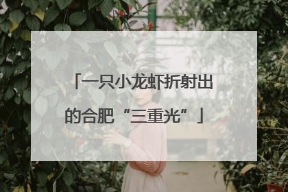一只小龙虾折射出的合肥“三重光”