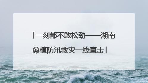 一刻都不敢松劲——湖南桑植防汛救灾一线直击