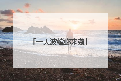 一大波螳螂来袭