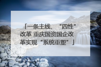 一条主线、“四性”改革 重庆国资国企改革实现“系统重塑”