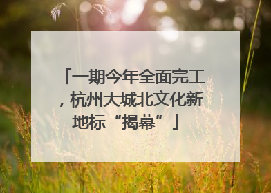 一期今年全面完工，杭州大城北文化新地标“揭幕”