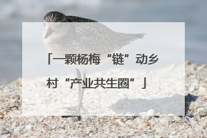 一颗杨梅“链”动乡村“产业共生圈”