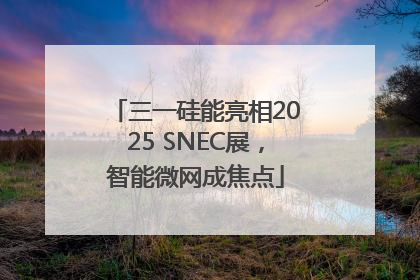 三一硅能亮相2025 SNEC展，智能微网成焦点
