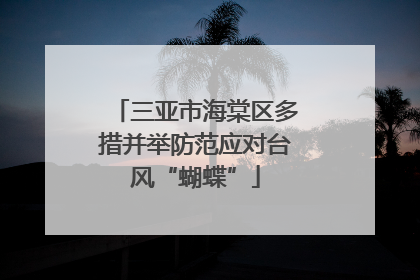 三亚市海棠区多措并举防范应对台风“蝴蝶”