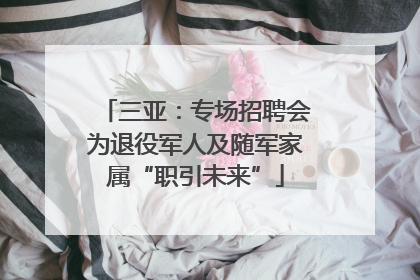 三亚：专场招聘会为退役军人及随军家属“职引未来”