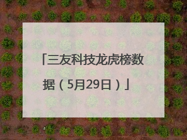 三友科技龙虎榜数据（5月29日）