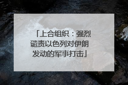 上合组织：强烈谴责以色列对伊朗发动的军事打击