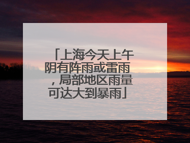 上海今天上午阴有阵雨或雷雨，局部地区雨量可达大到暴雨