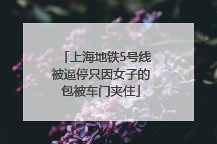 上海地铁5号线被逼停只因女子的包被车门夹住