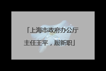 上海市政府办公厅主任王平，履新职
