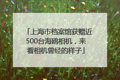 上海市档案馆获赠近500台海鸥相机，来看相机曾经的样子