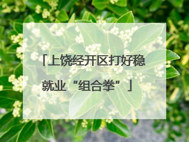 上饶经开区打好稳就业“组合拳”