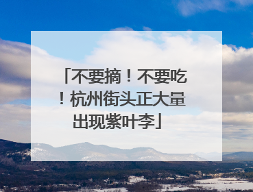 不要摘！不要吃！杭州街头正大量出现紫叶李